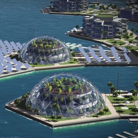 The Seasteading Institute plans to build floating cities at sea Floating Cities, Floating Architecture, Arcology, Future Buildings, Eco City, Floating City, Sustainable City, Green Architecture, Unique Architecture