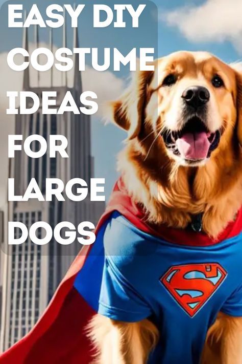 Large Dog Costume Ideas, Diy Large Dog Costumes, Large Dog Halloween Costumes Diy, Big Dog Costumes Halloween, Diy Dog Halloween Costumes For Big Dogs, Easy Diy Dog Costume, Easy Dog Halloween Costumes, Diy Dog Costumes Pets, Easy Dog Costumes Diy