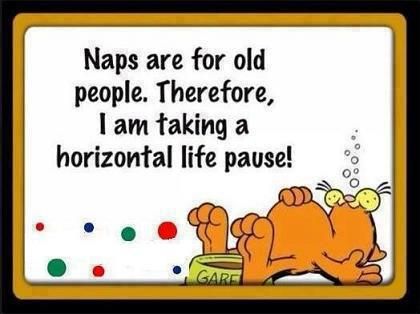 Naps are for old people. therefore, I am taking a horizontal life pause! | Share And Inspire Others | Nap Time Funny, Garfield Quotes, Garfield Pictures, Garfield And Odie, Quotes Images, Old People, Yahoo Search, Orange Cat, Nap Time