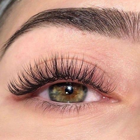 How To Clean Eyelashes, Eyelash Extensions Classic, Natural Fake Eyelashes, Lashes Fake Eyelashes, Cat Eye Lash, Eyelash Extensions Styles, Perfect Eyelashes, Natural Eyelash Extensions, Face Paint Makeup