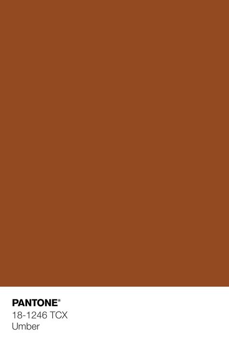 Rich Brown Color Palette, Pantone Colors Brown, Shades Of Brown Colour Palettes, Pantone Brown, Brown Colour Palette, Autumn Colour Palette, Brown Pantone, Deep Orange Color, Pantone Tcx