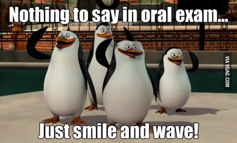 Just smile and wave boys... smile and wave... Pinguin Meme, Madagascar Meme, Madagascar Penguins, Penguin Meme, Madagascar Movie, Boy Meme, Penguins Funny, Penguins Of Madagascar, Smile And Wave