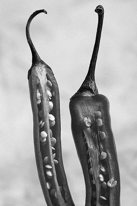 Chilli peppers. #photography #photooftheday #nature #love #picoftheday #beautiful #art #photographer #naturephotography #photo #landscape #adventure #sunset Vegan Food Photography, Vegetables Photography, Chilli Peppers, Food Art Photography, Handpoke Tattoo, Edward Weston, White Food, Object Photography, Elements And Principles