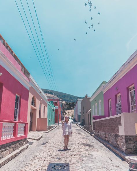 The Most Instagrammable places in Cape Town - Charlies Wanderings Kirstenbosch Botanical Gardens Cape Town, Bo Kaap Cape Town Photoshoot, Town Landscape, Cape Town Aesthetic, Cape Town Photography, South Africa Vacation, Africa Vacation, Cape Town Travel, Clifton Beach