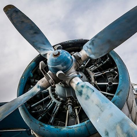 Propeller Decor, Propeller Airplane, Airplane Artwork, Cloudy Evening, Polaroid Picture Frame, Gut Feelings, Propeller Plane, Airplane Propeller, Movie Board