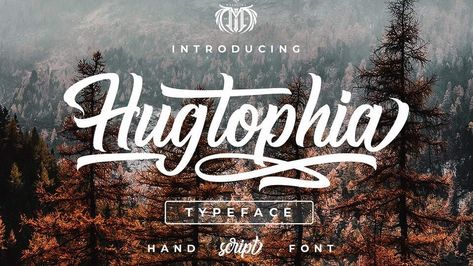 7 Website Font Trends for 2020 and a Free Tool to Identify Your Fonts Hand Script Font, Creative Market Fonts, Hand Fonts, Classic Calligraphy, Website Fonts, Blog Graphics, Modern Script Font, Free Script Fonts, The Font