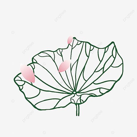 lotus leaf,vector lotus leaf,petal,lixia element,beginning of summer,lotus Lotus Leaf Drawing, Summer Elements, Peony Leaves, Leaf Vector, Boho Painting, Leaf Drawing, Lotus Leaves, Flower Wedding Invitation, Leaves Vector