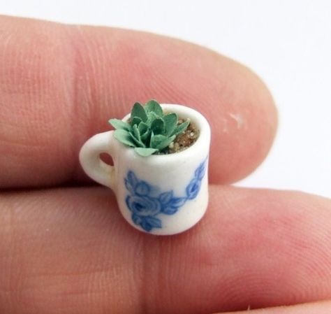 Seed Pots, Bonsai Seeds, Mini Bonsai, Tiny Plants, Mini Succulents, Tiny World, Tiny Food, Miniature Crafts, Mini Things