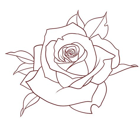 Rose Tattoo Line, Outline Rose Tattoo, Roses Outline, Rose Outline Tattoo Design, Rose Tattoo Outline, Rose Line Drawing, Simple Rose Outline Tattoo, Rose Line Drawing Tattoo, Rose Tattoo Outline Drawing