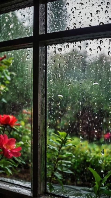 Rain View From Window, Rain Drops On Window, Rain On Window, Rainy Streets, Rainy Window, Rain Window, Window Views, Cozy Rainy Day, Window Photography