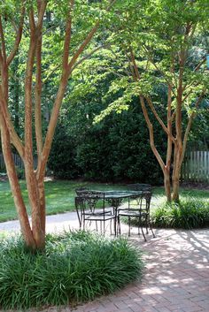 Landscaping Around Trees, Brick Patterns Patio, Myrtle Tree, Walkway Landscaping, Patio Pavers Design, Have Inspiration, Brick Patios, Garden Trees, Landscape Trees