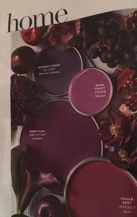 Plum Color Walls, Dark Green And Plum Bedroom, Dark Plum Bedroom Walls, Sage Green And Plum Bedroom, Deep Plum Color Palette, Dark Purple Hallway, Plum And Pink Bedroom, Plum Nursery Ideas, Muted Plum Paint