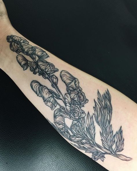 Wolfsbane Aconitum Napellus tattoo by Ruby Wolfe Wolfsbane Tattoo, Wolf Witch, Aconitum Napellus, Inktober Ideas, Flesh And Blood, Floral Sleeve, The Wolf, Tattoo Inspo, Body Mods