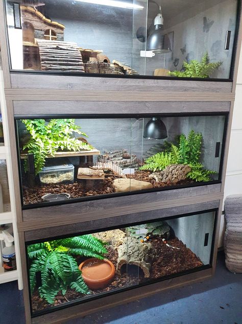 Reptile Rack, Indoor Rabbit Cage, Snake Cages, Snake Terrarium, Frog Terrarium, Snake Enclosure, Gecko Terrarium, Fish Tank Terrarium, Turtle Habitat