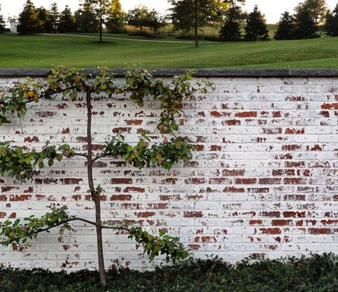 Mortar washed brick or German smear on bricks at front of house & new walls                                                                                                                                                     More German Smear Brick Exterior, Whitewash Brick Wall, German Smear Brick, Lime Wash Brick, German Smear, Interior Brick, Brick Interior Wall, White Wash Brick, Brick Exterior House