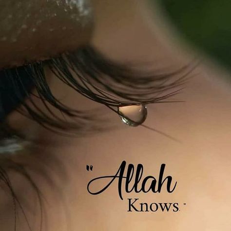 Beautiful Islamic Dp, Allah Knows, Islamic Dp, Dp Photos, Dp Images, Profile Pics, Be Kind