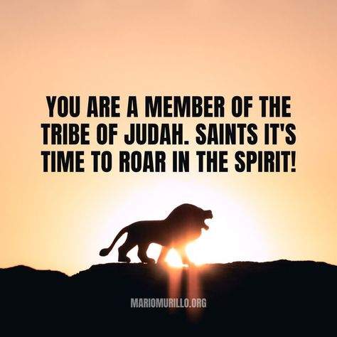 You are a member of the tribe of Judah. Saints, it's time to roar in the Spirit! The Tribe Of Judah, John Hagee, Max Lucado, Tribe Of Judah, Devotional Quotes, The Tribe, Kesha, Bible Prayers, Blessed Mother