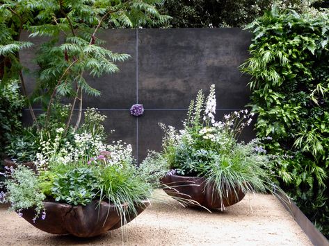 Modern Container Garden, Planter Garden Ideas, Chelsea Flower Show Gardens, Chelsea Garden Show, Modern Cottage Garden, Patio Container Gardening, Container Planting, Chelsea Garden, Planter Garden