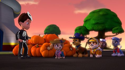 Paw Patrol Halloween, Odd Parents, Nick Jr, Trick Or Treater, Paw Patrol, Halloween, Dogs, Animals, Quick Saves