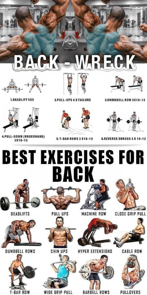 Follow these exercises for great gains #fit #fitness #fitnessmotivation #fitnessgoals #workout #backworkout #gym #gymlife #exercise #workoutmotivation Exercises For Back, Good Back Workouts, Chest Exercises, Barbell Row, Trening Fitness, Muscle Building Workouts, Weight Training Workouts, Workout Chart, Best Exercises