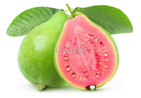 Guava Tree, Fruit Stickers, Guava Fruit, Friends School, Pink Guava, Scrapbooking Kids, Fruits Photos, Sugar Scrub Diy, Burger Sauce