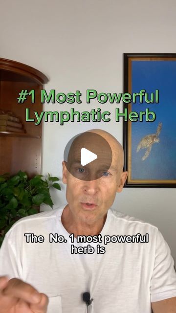 John Douillard's LifeSpa on Instagram: "A misunderstood lymph- + blood-cleansing herb! Learn more at LifeSpa.com or in the link in bio.   Shop Manjistha at Store.LifeSpa.com.   #johndouillard #lifespa #ayurveda #naturalheath #lymph #lymphaticdrainage" How To Unclog Your Lymph Glands Naturally, Lymph System Cleanse, Lymph Nodes Cleanse, Lymph Nodes Location, Lymph Nodes Armpit, Lymph Detoxification, Lymph Cleanse, Lymph Detox, Lymph Glands