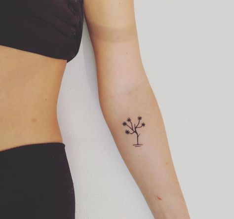 Joshua Tree tattoo Fine Line Joshua Tree Tattoo, Simple Joshua Tree Tattoo, Cactus Tree Tattoo, Small Joshua Tree Tattoo, Joshua Tree Graphic, U2 Tattoo Ideas, Line Cactus Tattoo, Solstice Tattoo, Jt Tattoo