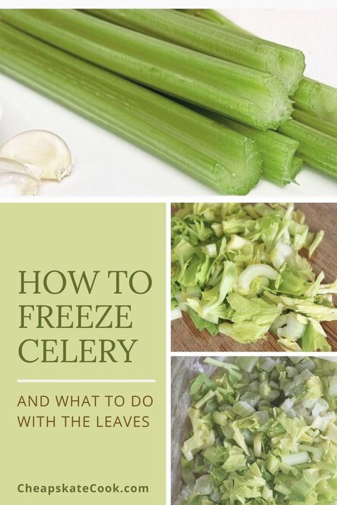 How to Freeze Celery - What to do with celery leaves and leftover celery. Don't throw them out! Instead, try these 2 easy hacks that will save you money, preserve vegetables, and reduce food waste. From CheapskateCook.com #celery #preserving #kitchentips What To Do With Celery Tops, How To Preserve Celery, What To Make With Celery, What To Do With Celery, Freezing Celery, Leftover Celery, Freeze Celery, Freeze Veggies, How To Freeze Celery