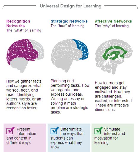 Chapter 2: The UDL Guidelines for Educators - Novak Educational Consulting Brain Based Learning, E-learning, Flipped Classroom, Mobile Learning, Instructional Design, Blended Learning, Personalized Learning, Learning Styles, Teaching Strategies