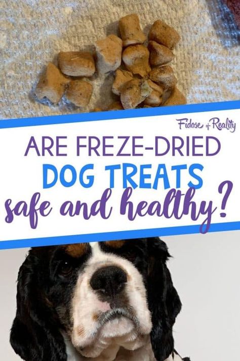 Freeze Dry Dog Treats Diy, Freeze Dry Dog Treats, Freeze Dried Raw Dog Food, Freeze Dried Dog Treats Diy, Freeze Dried Dog Food Recipe, Freeze Dried Snack Ideas, Freeze Dried Dog Treats Recipes, Freeze Dried Snacks, Chicken Dog Treats Recipes