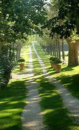 French Country Side, Driveway Entrance Landscaping, Farm Entrance, Vineyard House, Driveway Entrance, Driveway Landscaping, Castle Garden, Dirt Road, Country Side