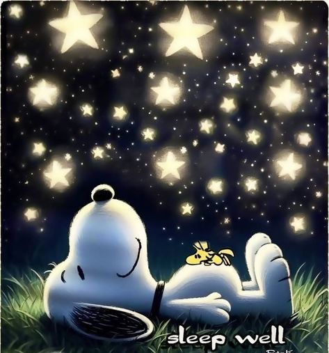 Goodnight Snoopy Gif, Good Night Cartoon Images, Good Night Snoopy, Goodnight Snoopy, Goodnight Images, Good Morning Snoopy, Happy Day Quotes, Peanuts Charlie Brown Snoopy, Snoopy Comics