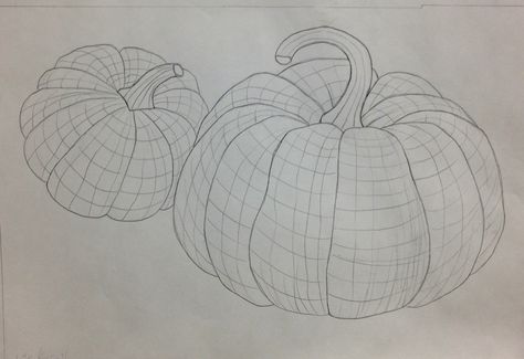 cross contour exercise: srjc student work; Lbeerntsen instructor Contour Lines Drawing, Cross Contour Drawing, Cross Contour Line Drawing, Cross Contour, Art Fundamentals, Contour Line Drawing, Teaching Drawing, Fruits Drawing, Observational Drawing