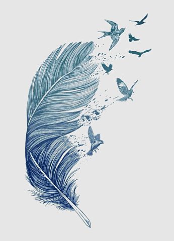 dove Illustrator, feather Illustration, hand Painted Feather, floating Feathers, Blue feather, Bird flight, Dreamcatcher, flying Bird, dove, Printmaking Floating Feather, Bird Flight, Feather Illustration, Feather Bird, Milk Splash, Bag Illustration, Flying Bird, Feather Painting, Ink Brush