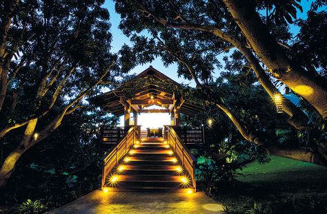 The Restaurant at Hotel Wailea takes fine fare to new heights . . . and our dining editor goes ape. Hawaii Hotel, Mauna Kea Beach Hotel, Maui Hotels, Wailea Beach, Treehouse Hotel, Hawaii Resorts, Hawaii Hotels, Maui Travel, Honeymoon Spots