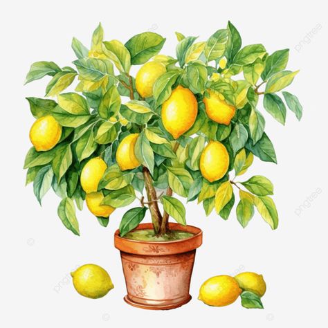 watercolor lemon tree Lemon Clipart, Wood Signage, Boho Clipart, Watercolor Lemon, Scrapbook Images, Nursery Decorations, Website Logo Design, Website Graphics, Tree Clipart