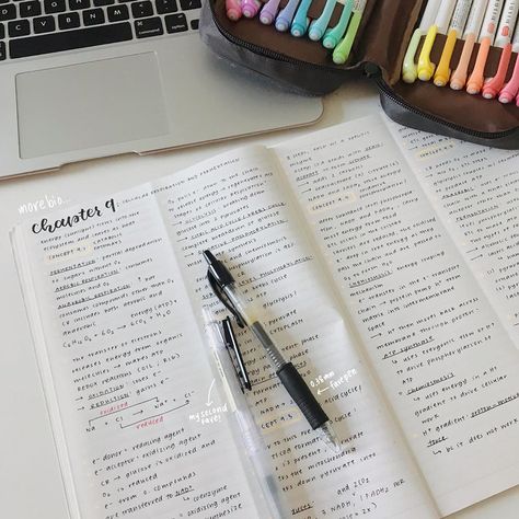 G2 Pilot Pens, Pilot G2 Pens Aesthetic, Studyblr Notes, Stationary Aesthetic, Muji Stationery, Study Things, Motivation School, Pastel Inspiration, Pilot G2 Pens