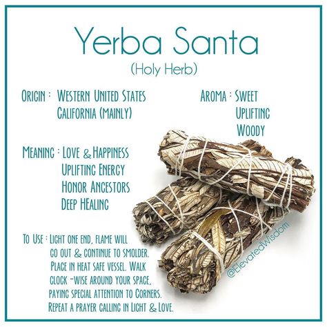 Herbology Witchcraft, Cinnamon Smudge, Yerba Santa Smudge, Homemade Incense, Yerba Santa, Magickal Herbs, Healing Magic, Sage Smudge, Kitchen Witchery