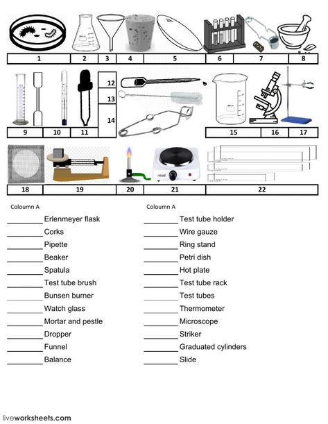 Materials Worksheet, Safety Worksheets, Science Lab Safety, Chemistry Lab Equipment, Biology Lab, Science Equipment, Chemistry Lab, Lab Safety, Health Administration