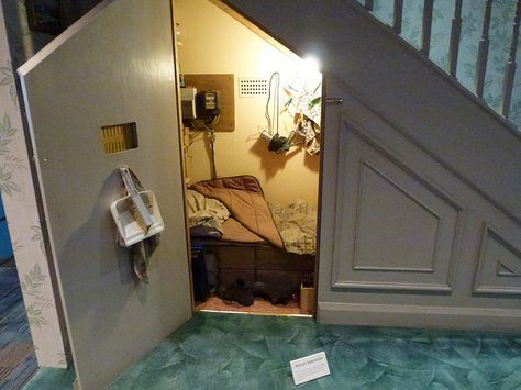 Secret room under the stairs. (also a good tornado shelter) Room Under The Stairs, Harry Potter Bedroom Decor, Tornado Shelter, Harry Potter Tour, Harry Potter Studio Tour, Harry Potter Room Decor, Harry Potter Bedroom, Harry Potter Studios, Under Stairs Cupboard