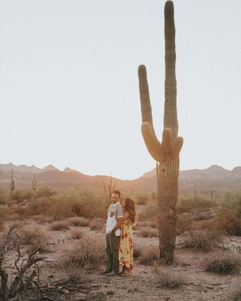 Moon Valley Elopements (@moonvalleyelopements) • Instagram photos and videos Mountains Photoshoot, Desert Adventure, Mountain Couple, Love Is A Choice, Superstition Mountains, 70 Degrees, Lasting Love, Finding True Love, Sweet Love