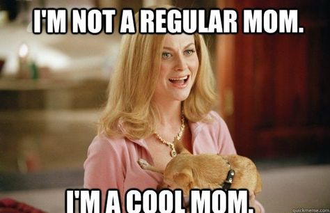 Making mom friends can be brutal. It's even harder than when you were in high school. That's why I've put together 20 Funny Memes that sum up how hard it is to Make Mom Friends. Mean Girls Mom, Types Of Social Media, Baby Boy Pictures, Babies Newborn, Mom Memes, Friend Memes, Cool Mom, Boy Pictures, Funny Messages