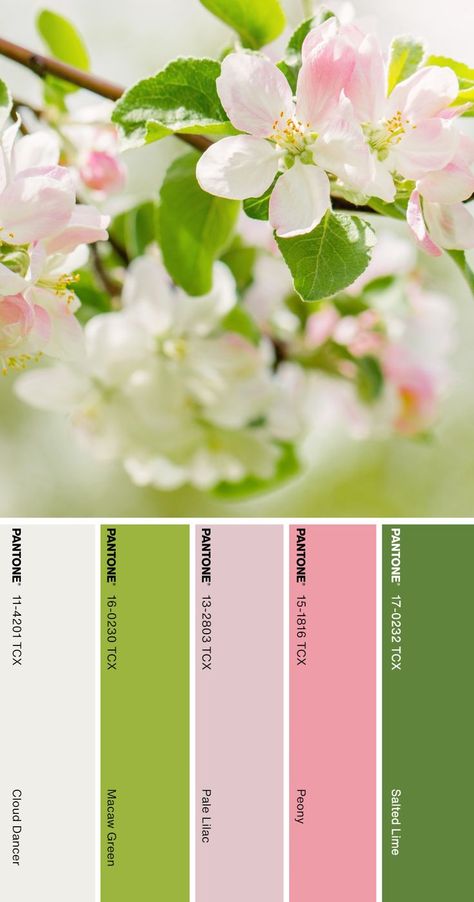 Easter Colour Palette, Spring Pastel Color Palette, Spring Pallete Color, March Color Palette, Spring Color Combinations, Color Palette Pantone, Pantone Color Palette, Color Palette Spring, Spring Pantone