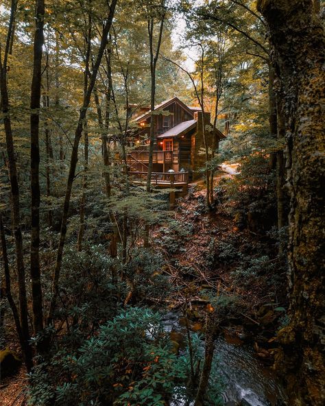 Beat the heat with a trip to the NC mountains. At 3500 ft elevation, this Newland cabin is perfectly situated for cool summer afternoons (high of 75 today!) 📷 @dirtandglass @heypamcakes 🏠 The Cabin at Squirrel Creek 📍Newland, North Carolina ➡️ 2.5 hours to Charlotte ➡️ 3.5 hours to Raleigh, Durham, Chapel Hill #logcabin #summergetaway #visitnc #blueridgemountains #petfriendly #vrbo #airbnb #hiking #fishing #troutstream —————- summer vacation | close to hiking trails | fly fishing in t... Cabin In The Woods Aesthetic, North Carolina Cabins, Summer Camp Aesthetic, Little Cabin In The Woods, Log Cabin Rustic, Nc Mountains, Camping Aesthetic, Little Cabin, Summer Afternoon