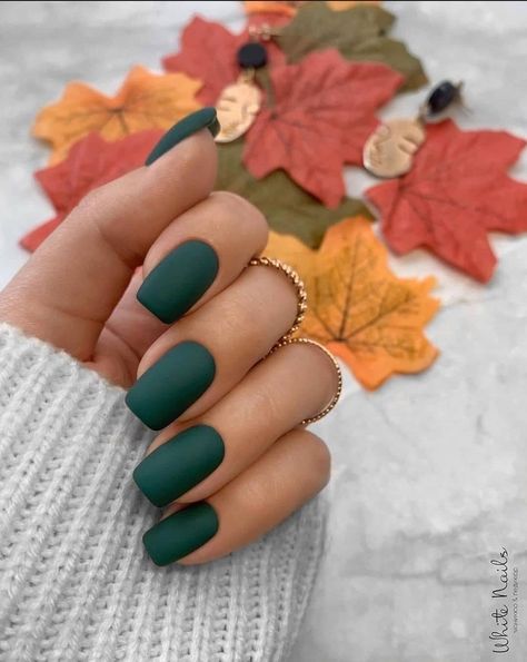 Powder Nail Ideas, Black Toe Nails, Matted Nails, Fall Nail Ideas, Makeup Nails Designs, Maroon Nails, Pretty Nail Colors, Nail Art For Beginners, October Nails