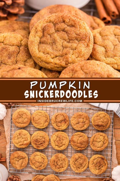 Get ready for the highlight of the season with our Pumpkin Snickerdoodles! These amazing cookies have a soft, chewy texture and a rich, warm spice flavor. They're perfect for fall gatherings or enjoying with a cup of coffee. You're in for a treat! Pumpkin Snickerdoodle Cookie Recipe, Pumpkin Spice Cookie Recipe, Sweet Potato Cookies, Frosty Recipe, Pumpkin Snickerdoodles, Pumpkin Cookie Recipe, Amazing Cookies, Snickerdoodle Recipe, Pumpkin Spice Cookies