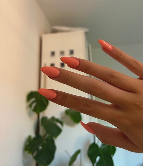 #nails #nailart #nailpolish #biab #longnails #aesthetic #roominspo #inspo #naildesign #nailinspo #biabnails #longnailideas #ideas #pink #pinkpilatesprincess #pinknails #pinknailinspo Peach And Pink Nails, Pink Peach Nails, Peach Pink Nails, Peachy Pink Nails, Apricot Nails, Peachy Nails, Peach Colored Nails, 2024 Nails, Peach Nails