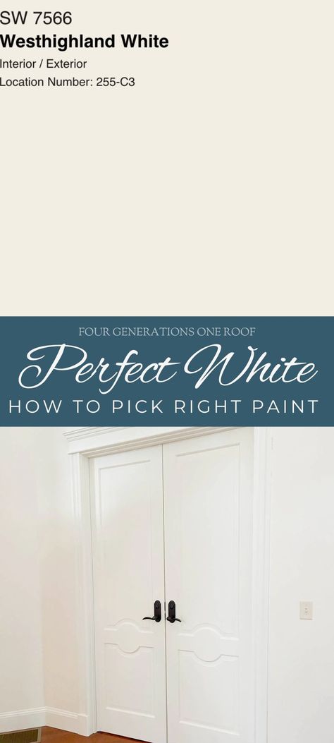 Picking the perfect white paint and determining the undertones can be tricky. See why I picked this neutral white with a slight warm undertone. Creamy White Paint Colors Behr, White Paint With Yellow Undertones, Best Creamy White Paint Color Sherwin Williams, Best Creamy White Paint Color Behr, Best White Paint For Southern Exposure, Painting Basement Walls, Lake House Living Room, Stained Trim, White Wall Bedroom