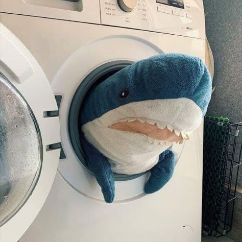 Shark Stuffed Animal, Shark Plush, Cute Shark, Blue Shark, 캐릭터 드로잉, Baby Shark, The Villain, Blue Aesthetic, Aesthetic Photo