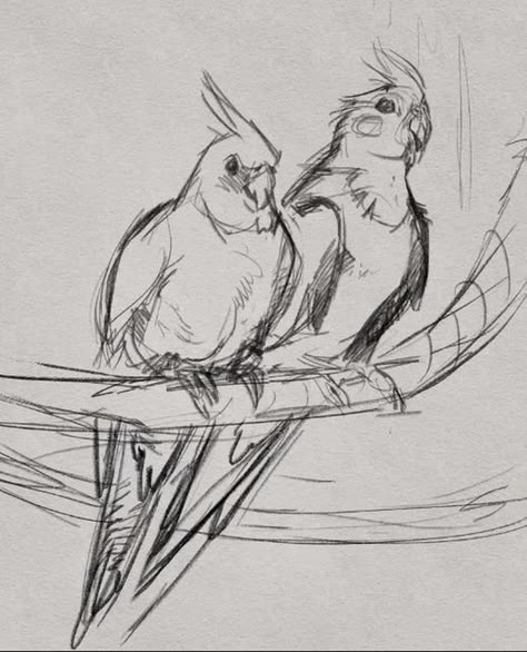 Bird Sketch Drawing, Drawing Ideas For Animals, Birds For Drawing, Bird Looking Down Drawing, Bird Art Sketch, Drawing Ideas For Portfolio, Bird Sketch Tutorial, Bird Art Tutorial, Cute Sketches Animals